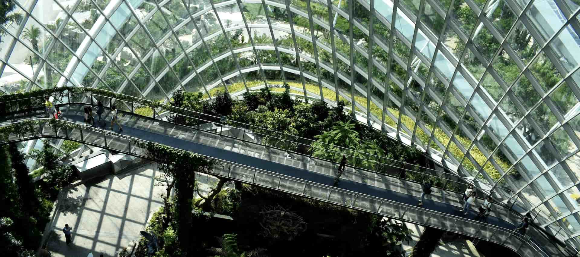 Luftaufnahme eines geschwungenen, erhöhten Gehwegs durch einen üppigen, glasüberdachten Garten mit Besuchern, die die grüne Oase genießen